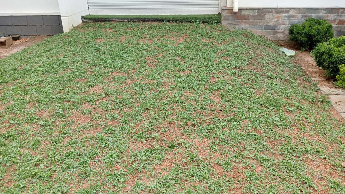 Designs by Gardening & Landscaping Vishnu Gopal, Alappuzha | Kolo