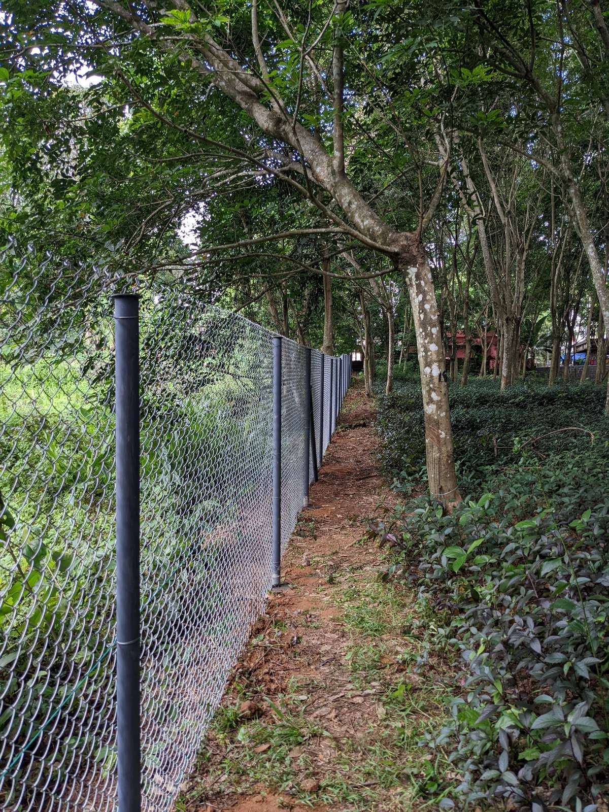 Designs by Service Provider Quick Fence, Thrissur Kolo