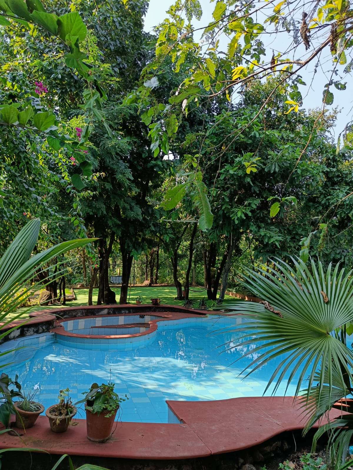 Designs by Swimming Pool Work Asian pool Vinod singh, Indore | Kolo
