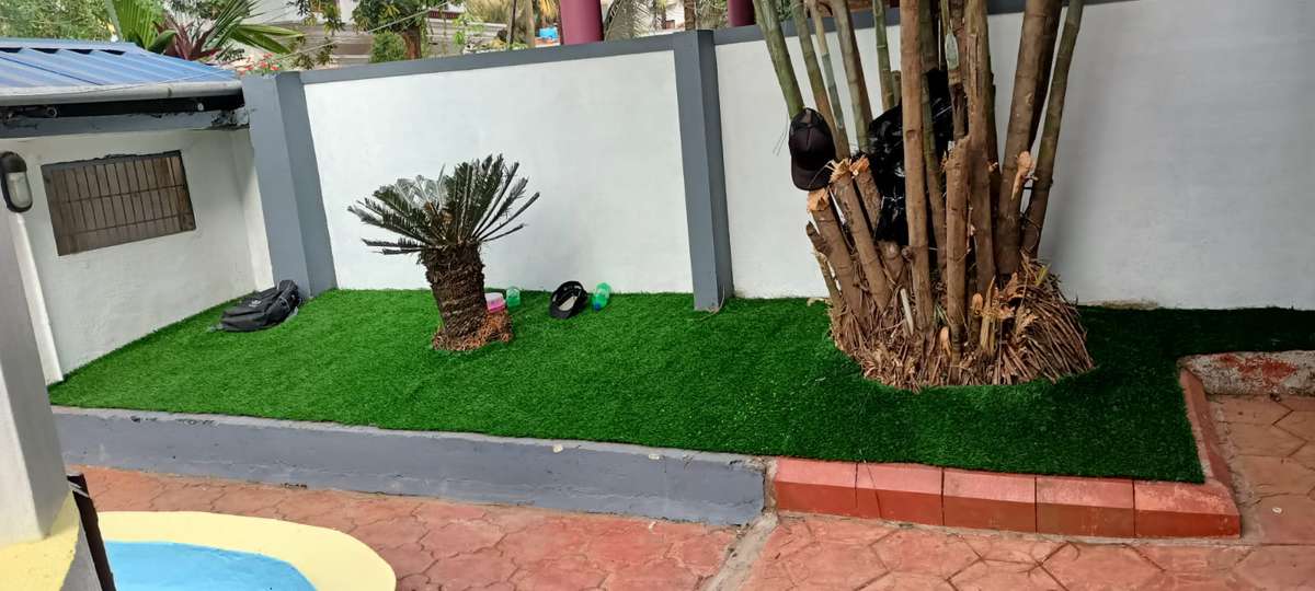 Designs by Gardening & Landscaping joys garden, Thrissur | Kolo