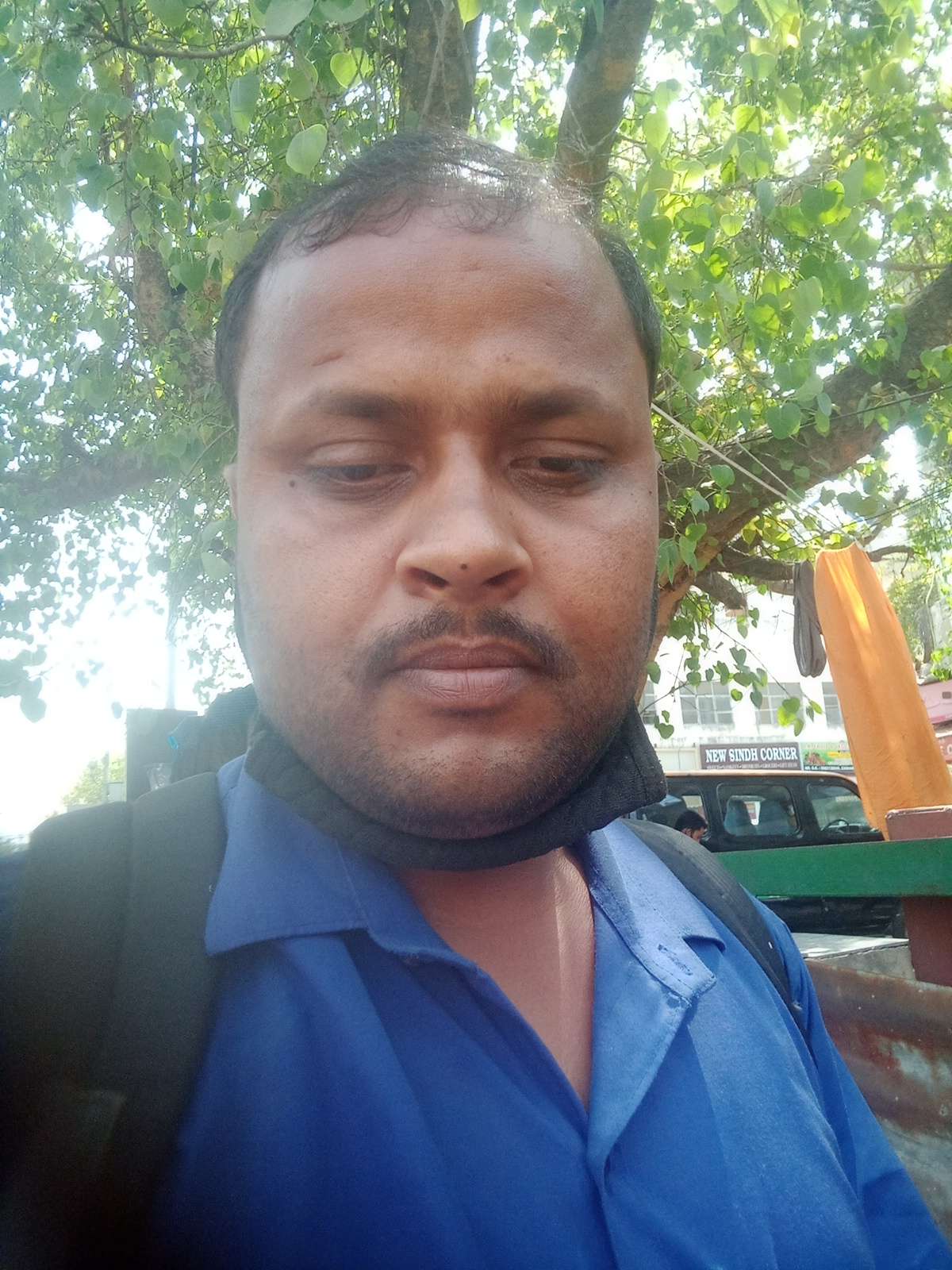 Designs by Painting Works Rajeshk Singh, Delhi Kolo