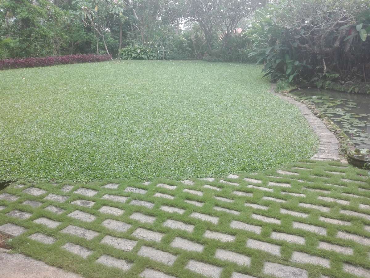 Flooring, Outdoor Designs by Contractor Aji N, Kottayam | Kolo
