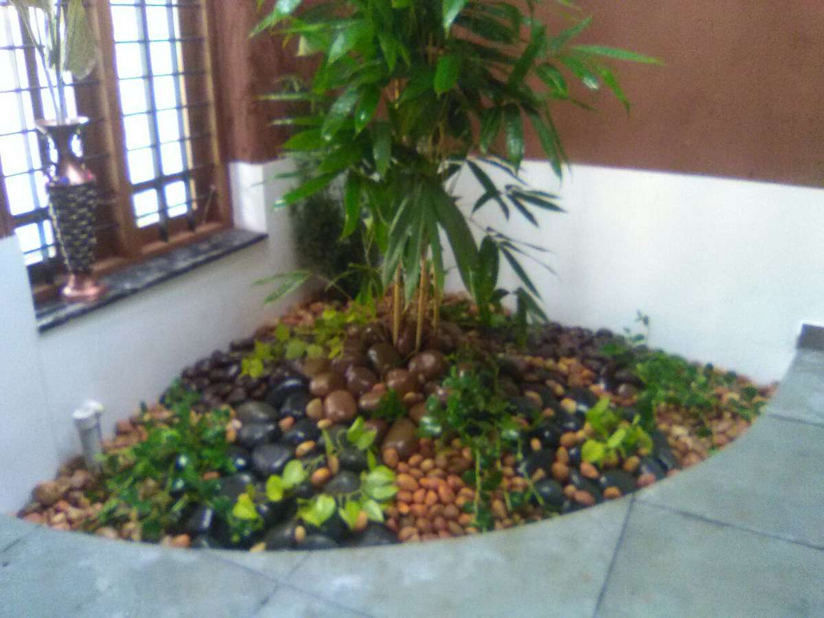Home Decor, Window Designs by Gardening & Landscaping Reji RR, Thiruvananthapuram | Kolo