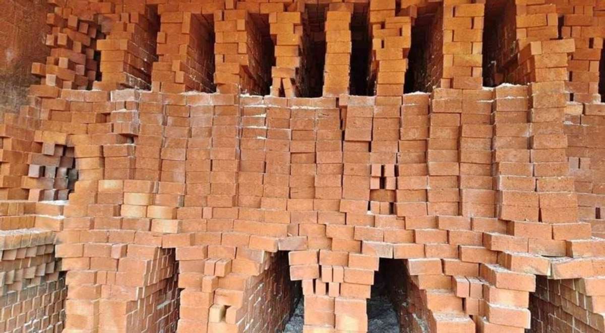 Good quality wire cut clay bricks available 