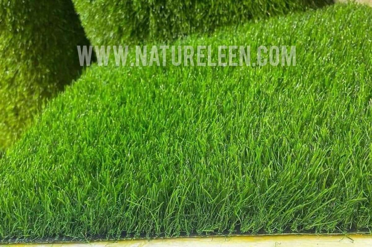 ഇല്ല 