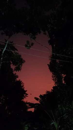 Salu