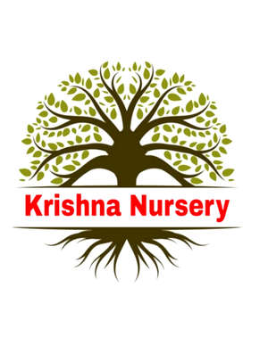 Krishna Nursery