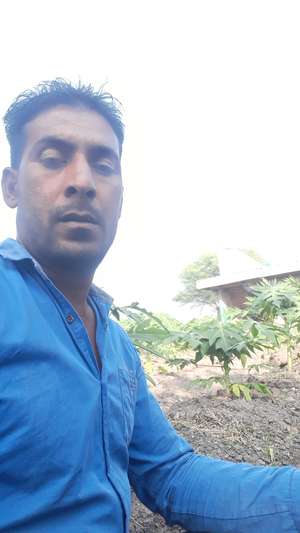 SAZID