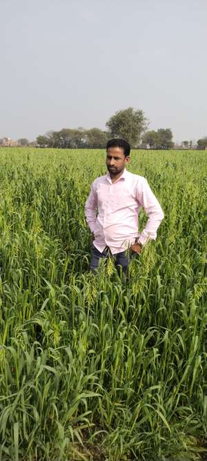Chandan