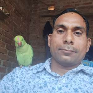 Siddhpal