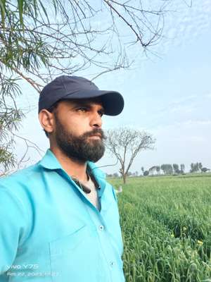 mahesh 