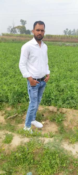 afsar