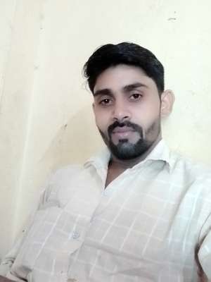 Anis