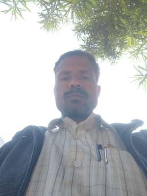 Shalendra