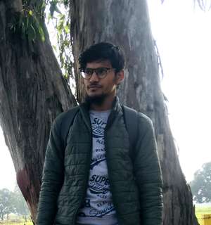 Abull