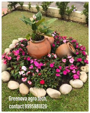 Greenova