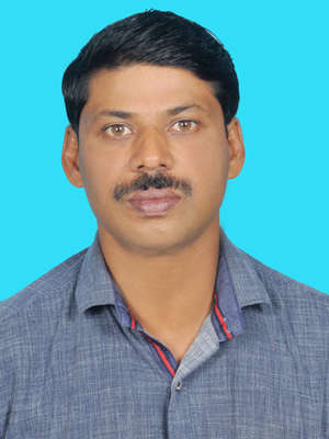 shibu