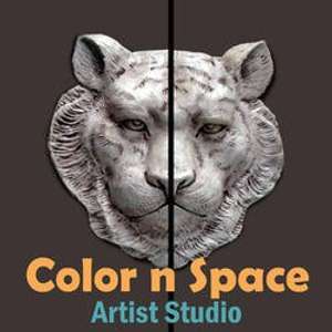 Color n Space