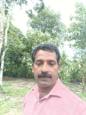 Biju