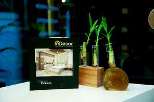indecor