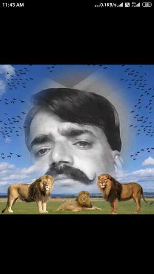 Jangid