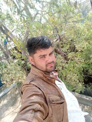 Aarif