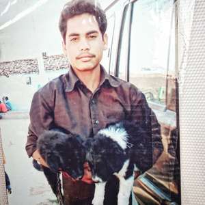 Pritam
