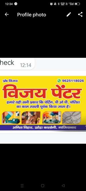 vijay paintar