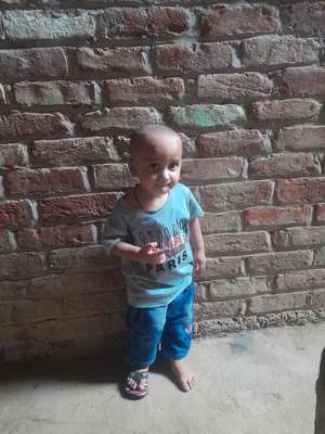 Gulshad