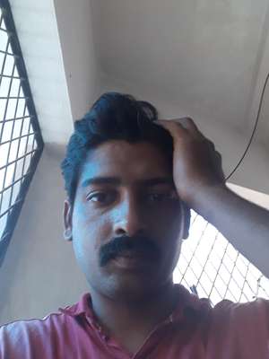 pintokr 