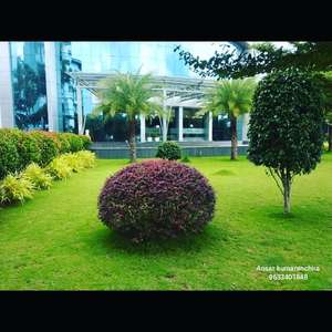Ansar