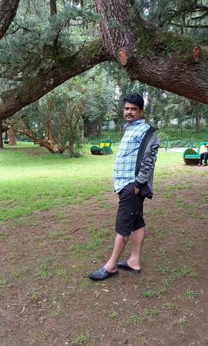 prasad 