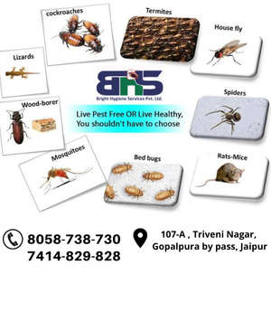 Bright Hygiene Services 