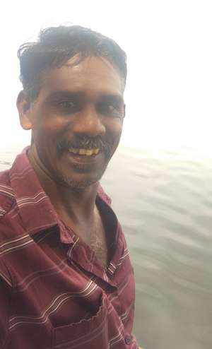 Anil