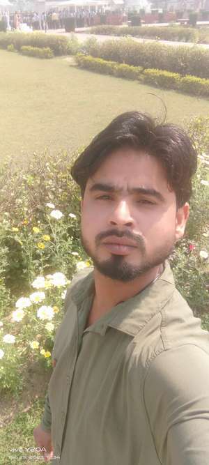 Zafar Safi