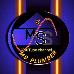 Ms