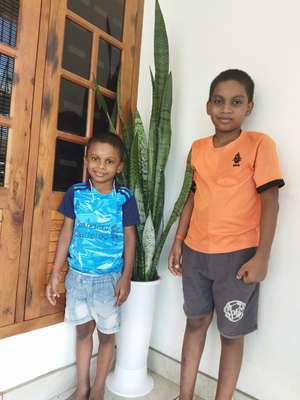 kannan