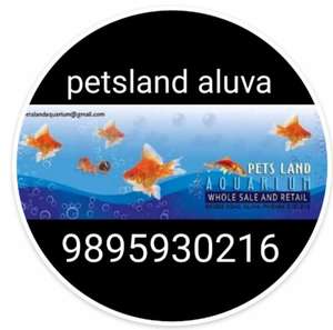 shaji petslandaqurium aluva