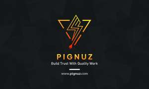 PIGNUZ ELECTRICAL CONTRACTORS