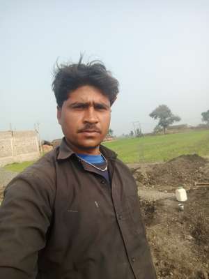 bhanu