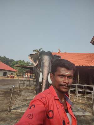 Liju PJ