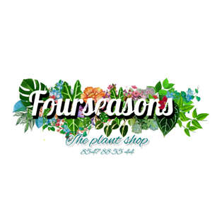 fourseasons home decor