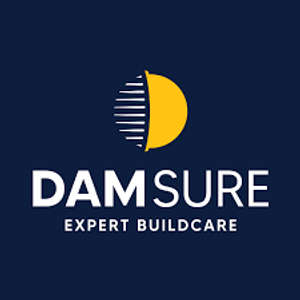 Damsure  Expert Buildcare