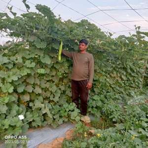 mahendra 