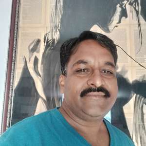 artist girdhar