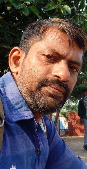 anil rohilla