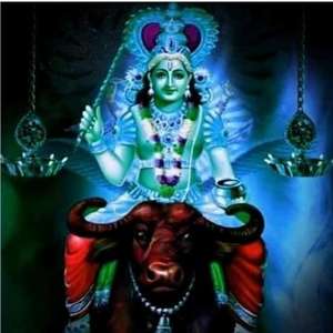 Prajeesh