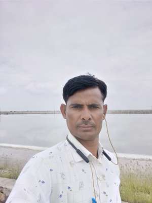 Moolchand