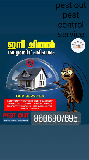 pest out 