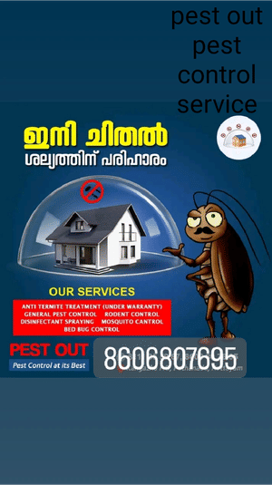 pest out pest control service